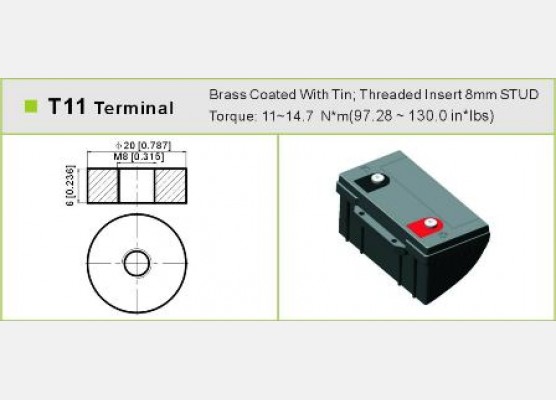 TERMINAL T11