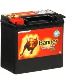 Μπαταρία BANNER Running Bull Back Up 12V 12Ah (C20)