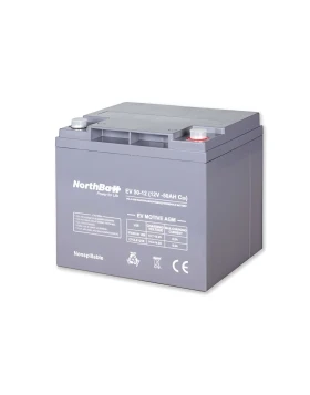 NORTHBATT battery 50-12 EV 12V 50Ah VRLA - AGM EV Motive