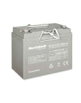 NORTHBATT battery 65-12 EV 12V 65Ah VRLA - AGM EV Motive -- COPY