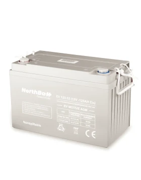 NORTHBATT battery 123-12 EV 12V 123Ah VRLA - AGM EV Motive