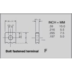 VRLA TERMINAL F