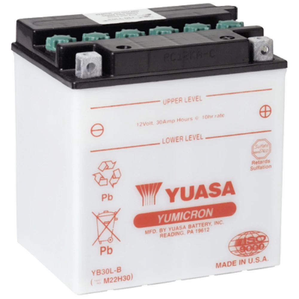 Μπαταρία YUASA Yumicron YB30L-B 12V 30Ah 300CCA (EN)