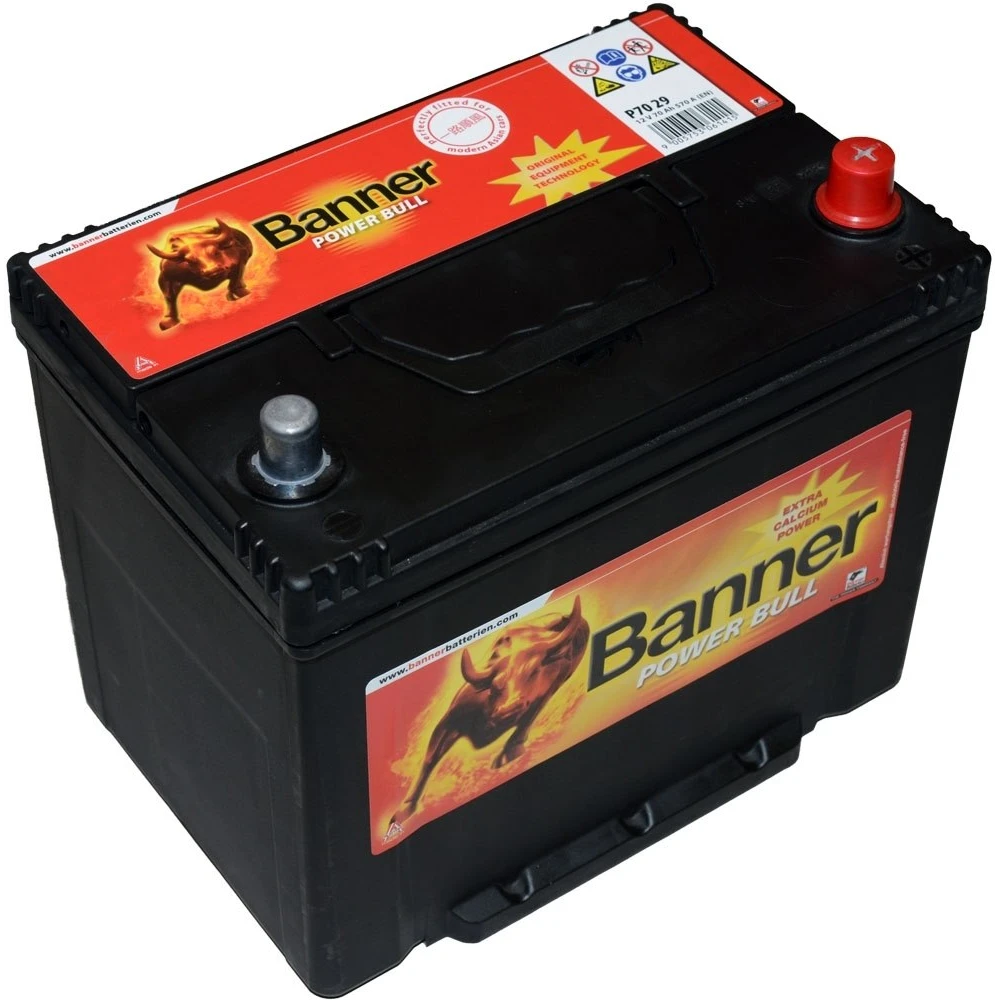 Μπαταρία BANNER Power Bull P7029 12V 70Ah (C20) 600CCA