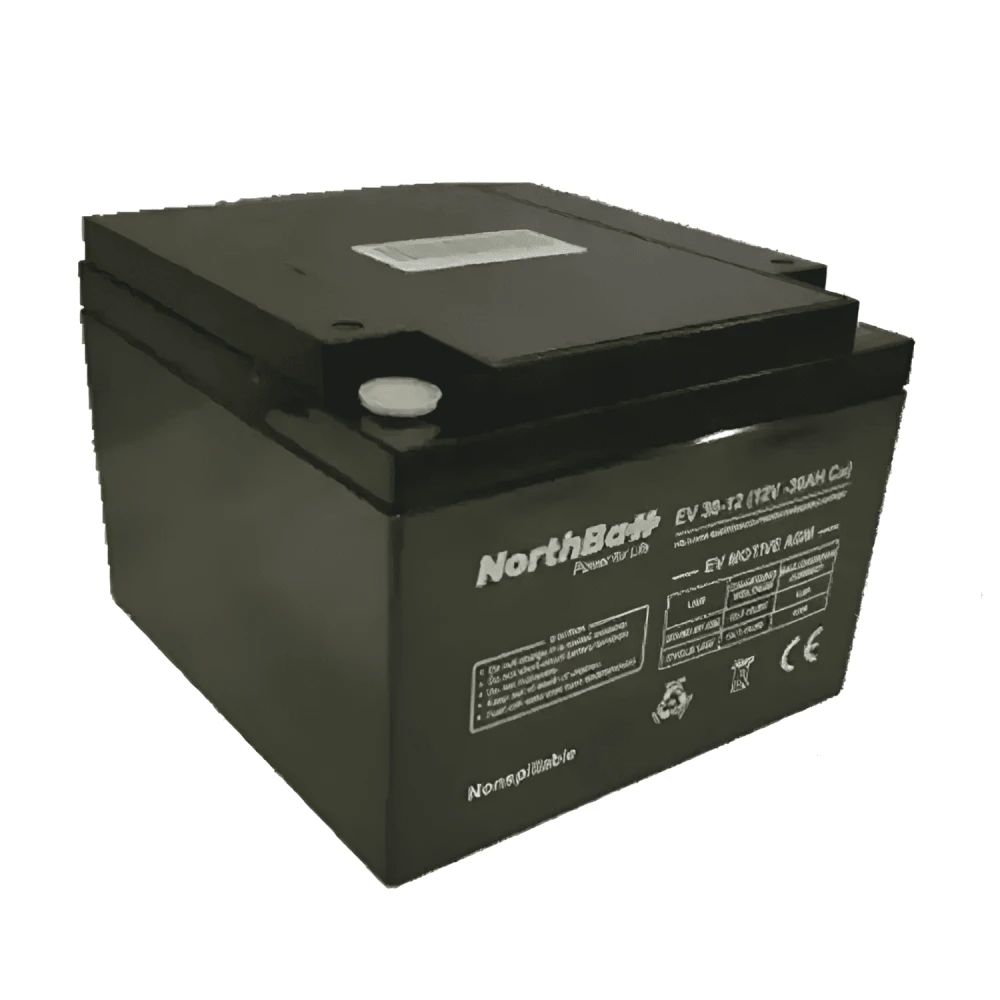 NORTHBATT battery 30-12 EV 12V 30Ah VRLA - AGM EV Motive