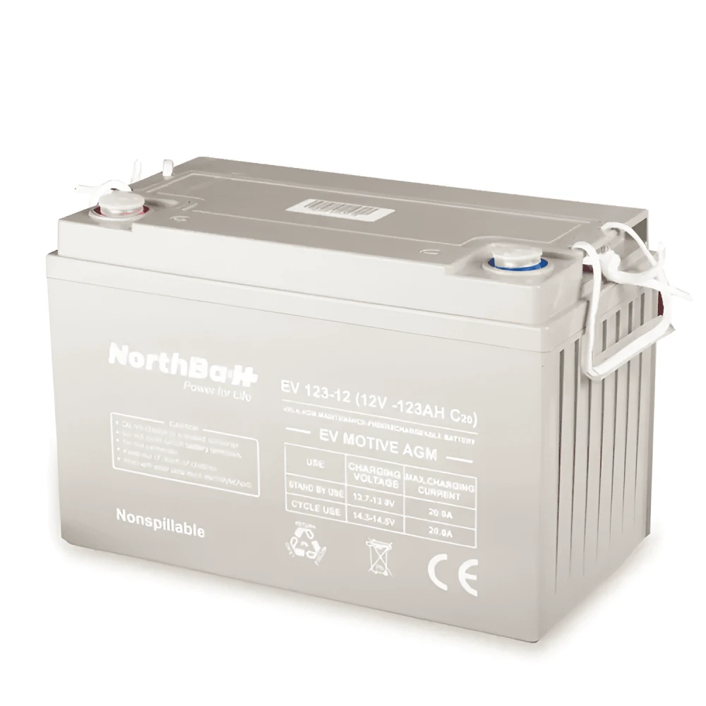 NORTHBATT battery 123-12 EV 12V 123Ah VRLA - AGM EV Motive